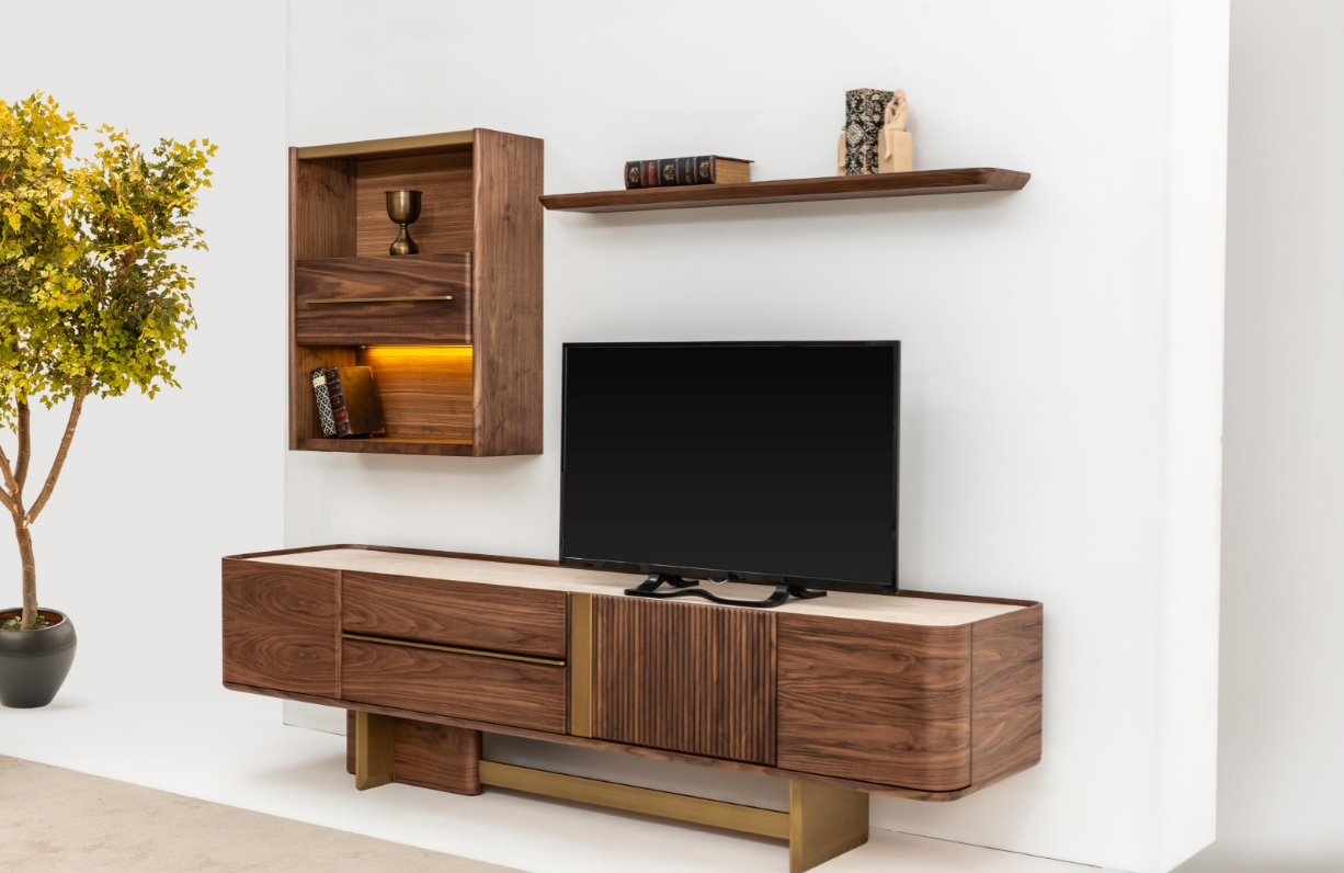 MANAS TV ÜNİTESİ